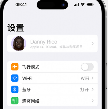 贡嘎appleID维修服务iPhone设置中Apple ID显示为灰色无法使用 