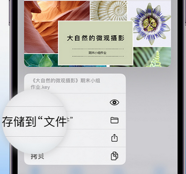 贡嘎apple维修中心分享iPhone文件应用中存储和找到下载文件