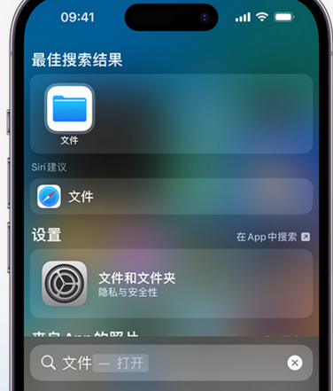 贡嘎apple维修中心分享iPhone文件应用中存储和找到下载文件