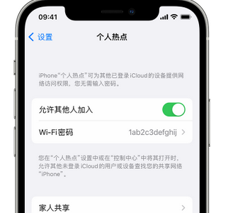 贡嘎apple服务站点分享iPhone上个人热点丢失了怎么办