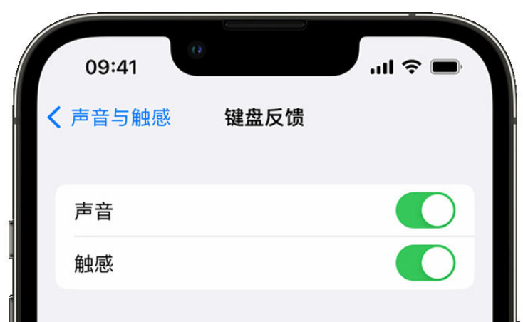 贡嘎苹果手机维修分享iPhone 14触感键盘使用方法 