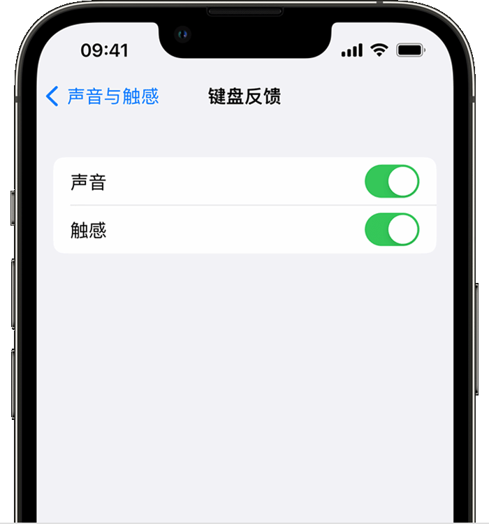 贡嘎苹果14维修店分享如何在 iPhone 14 机型中使用触感键盘 