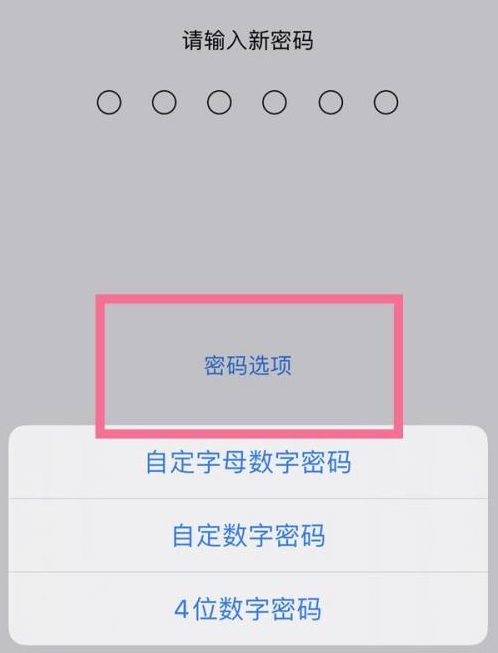 贡嘎苹果14维修分享iPhone 14plus设置密码的方法 