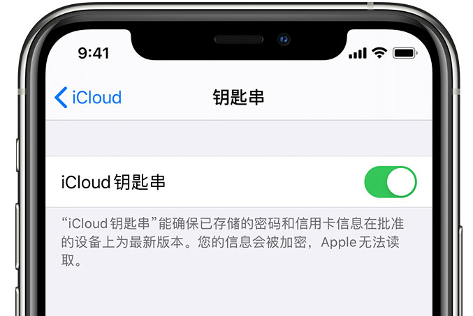 贡嘎苹果手机维修分享在 iPhone 上开启 iCloud 钥匙串之后会储存哪些信息 