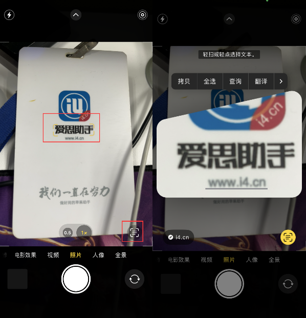 贡嘎苹果手机维修分享升级iOS 16后如何通过相机翻译文本 
