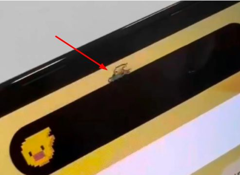贡嘎苹果14维修分享iPhone 14 Pro Max灵动岛怎么养宠物 