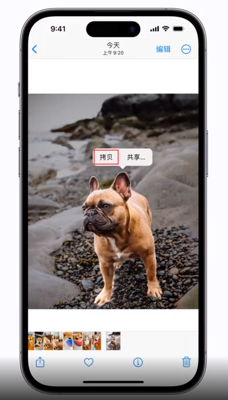 贡嘎苹果手机维修分享 iOS 16 自带一键抠图功能 