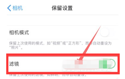 贡嘎苹果13维修分享iPhone13拍照有绿点是怎么回事 