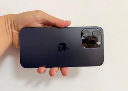 贡嘎苹果维修点分享iPhone 14 Pro Max黑屏少见故障盘点 